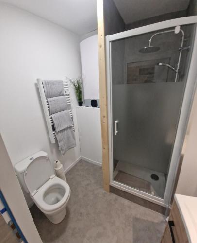 une salle de bain avec toilettes et douche en verre dans l'établissement saimé, à Mèze