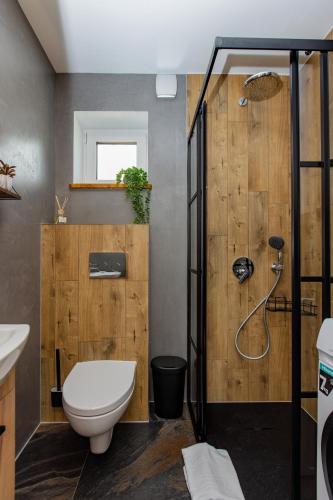 a bathroom with a toilet and a shower at Forrest Houses Bartosze in Bartosze