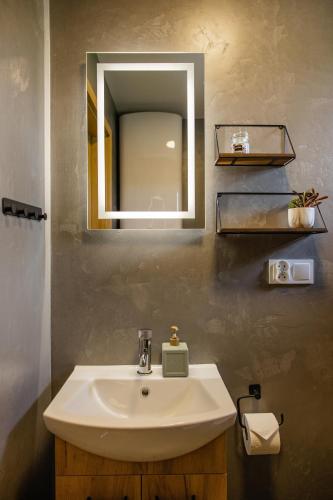 a bathroom with a sink and a mirror at Forrest Houses Bartosze in Bartosze