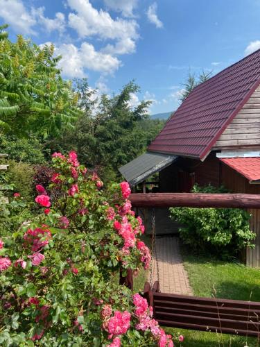 Agroturystyka Nad Stawem