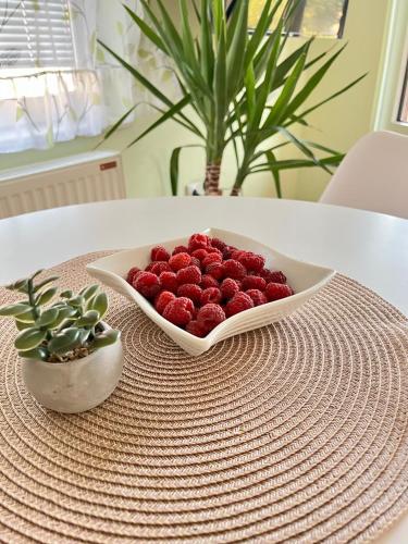 Comida en el departamento o alrededores