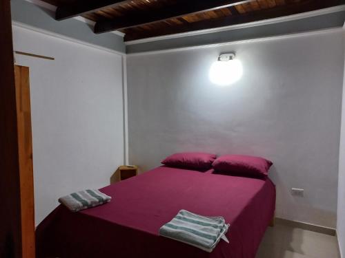a bedroom with a bed with purple sheets and a light at Rincón soñado para 8 personas in Puerto Iguazú
