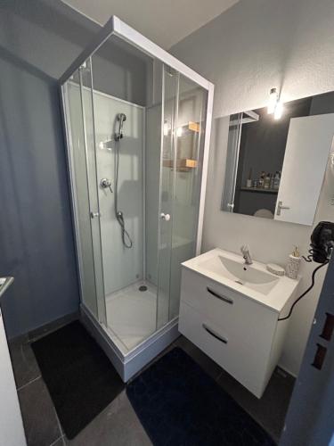 une salle de bain avec douche et lavabo dans l'établissement Appartement, à Montceau-les-Mines