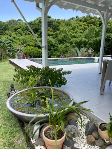 een waterpartij op een terras met planten en een zwembad bij VILLA ZEN in Petit-Bourg