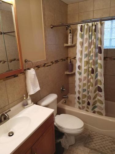 a bathroom with a toilet sink and a shower curtain at Queen city lifestyle in Charlotte