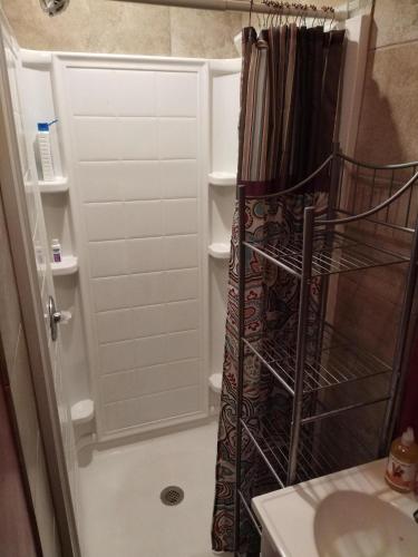 a shower with a shower curtain in a bathroom at Queen city lifestyle in Charlotte