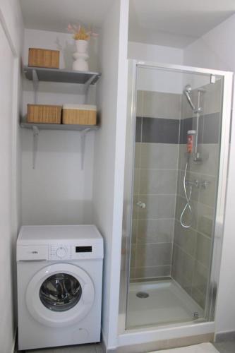 une machine à laver et une douche dans une salle de bain dans l'établissement Appartement élégant et lumineux, à Romainville