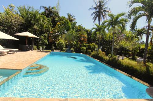 a swimming pool in a yard with palm trees at Villa Bayu Lovina 2bedroom villa, private pool in Lovina