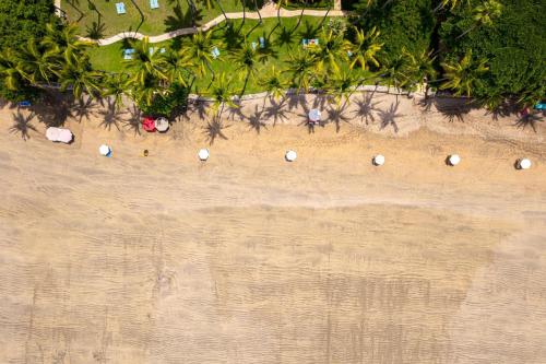 an overhead view of a beach with shells on the sand at Sunrise 6- Ocean View 2 Br Condo, Steps To The Beach in Tamarindo