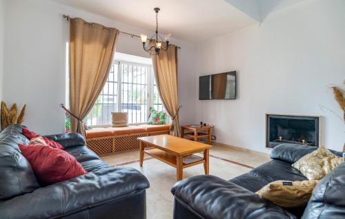 Μια τηλεόραση ή/και κέντρο ψυχαγωγίας στο Nice Home In Chiclana De La Fronter