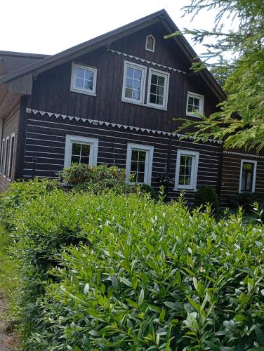 a black house with white windows and bushes at Pension Slunečnice in Pec pod Sněžkou