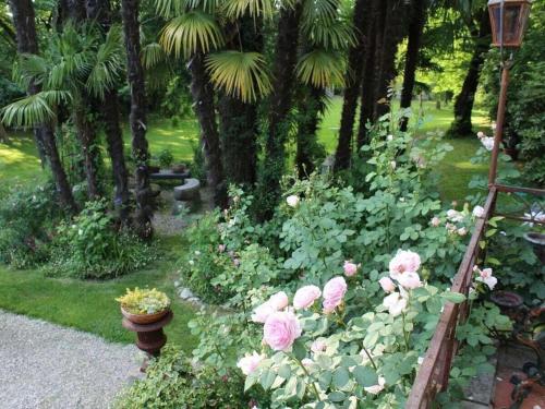 Κήπος έξω από το "Vicinia" with garden in the castle