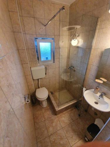 a bathroom with a shower and a toilet and a sink at Apartment für 6 Personen in Dubrava