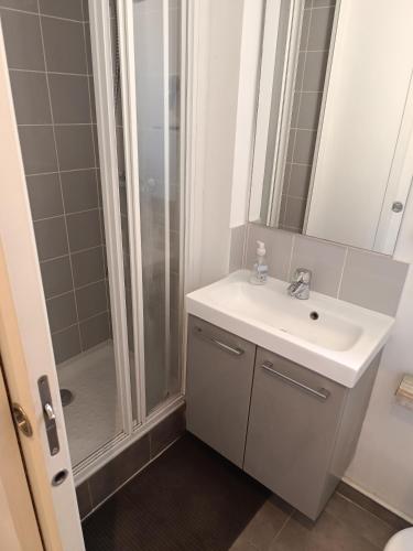 une salle de bain avec un lavabo et une douche dans l'établissement Buttes Chaumont, à Paris