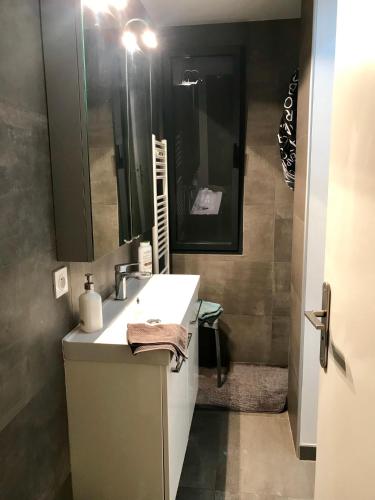 une salle de bain avec un lavabo et un miroir dans l'établissement Toit terrasse les Embiez, à Six-Fours-les-Plages