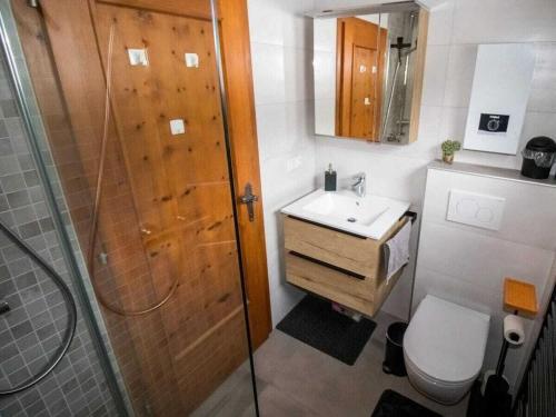 a bathroom with a shower and a toilet and a sink at Gartlfallblick Comfortable holiday residence in Großkirchheim