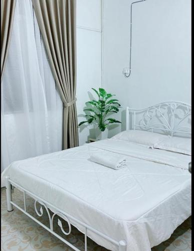 a white bed in a bedroom with a potted plant at Alora Homestay in Alor Setar