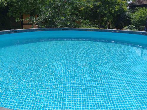 a large blue swimming pool with blue tiles at Apartments Svetlica in Bački Petrovac