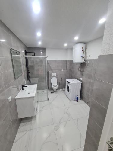 Ένα μπάνιο στο Apartman Dani