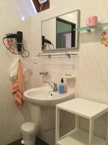Ένα μπάνιο στο Apartmany Samuel