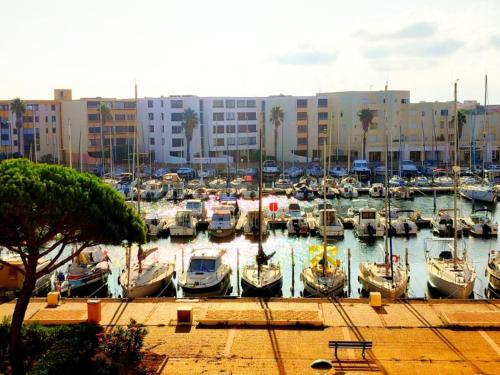 un groupe de bateaux amarrés dans un port avec des bâtiments dans l'établissement Appartement sur le port, à Leucate