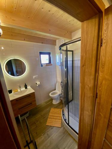 a bathroom with a shower and a toilet and a sink at Domek u Ani in Giżycko