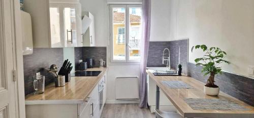 une cuisine avec des armoires blanches et une plante en pot sur le comptoir dans l'établissement Cosy Appart - proche mer et toute commodités, à Nice