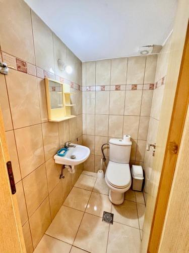 a small bathroom with a toilet and a sink at Vineyard Villa in Himare