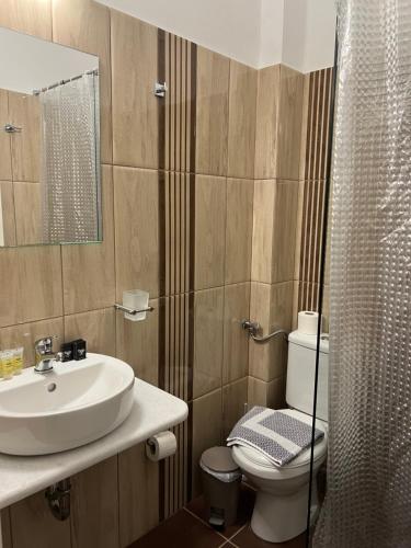 a bathroom with a sink and a toilet and a shower at Pension Irene in Ios Chora