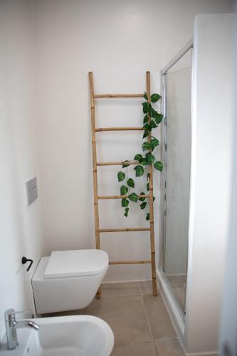 a bathroom with a toilet and a plant next to a shower at Serenity Bay in Alinda