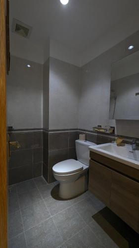 a bathroom with a toilet and a sink and a mirror at High-class apartment with beautiful river view in Long Xuyên