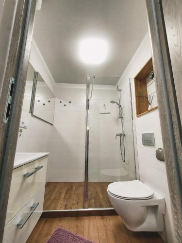 a bathroom with a shower and a toilet and a sink at Apart & Plus in Okuninka