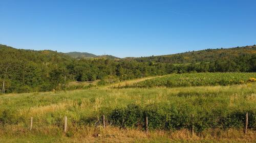 a dirt road in a field with trees at Le Gîte de Berignac in Antugnac