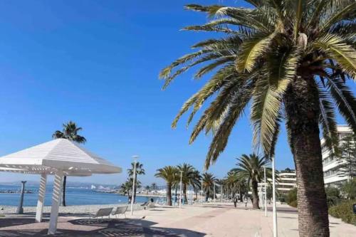 a palm tree next to a beach with a palm tree at Appartement avec piscine in Saint-Laurent-du-Var