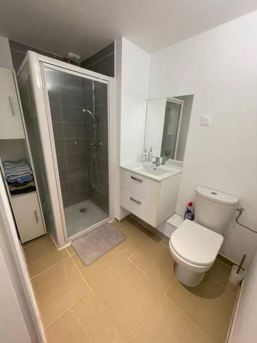 une salle de bain avec une douche, des toilettes et un lavabo dans l'établissement Appartement avec piscine, à Saint-Laurent-du-Var