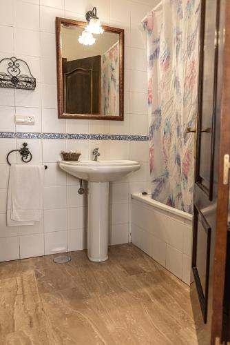 a bathroom with a sink and a mirror and a shower at Hotel Las Rosas in Priego de Córdoba