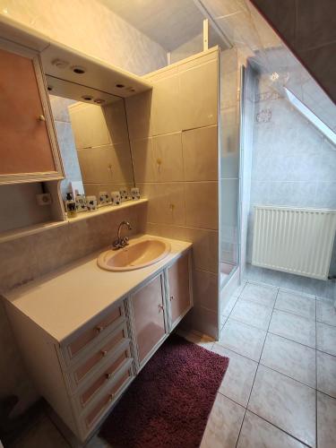 une salle de bain avec un lavabo et un miroir dans l'établissement Beaux prés 68, à Colmar