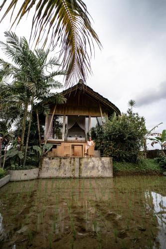 Κήπος έξω από το Padi Bali Retreat