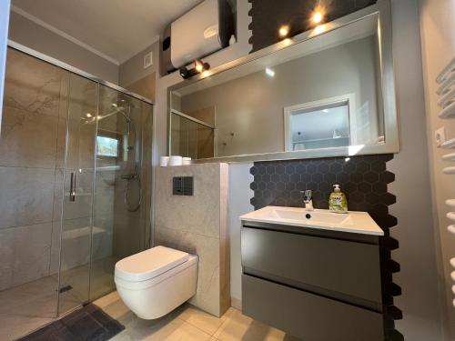 a bathroom with a toilet and a sink and a shower at Apartamenty i Domki WyDmy Międzywodzie in Międzywodzie
