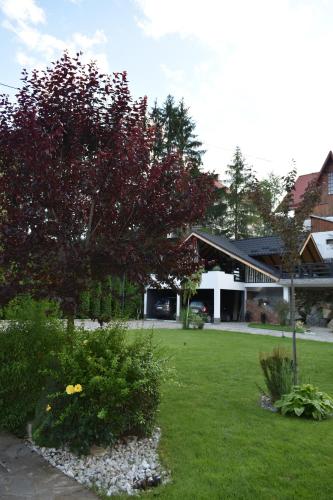 a yard with a house and a tree in the yard at Jazz House in Voroneţ