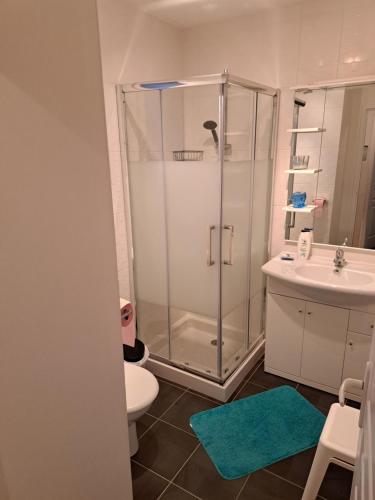 une salle de bain avec une douche, des toilettes et un lavabo dans l'établissement Le coin paisible, à Gujan-Mestras