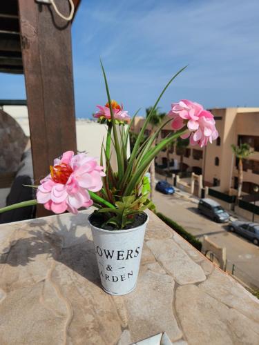 Ático precioso muy luminoso con piscina privada!