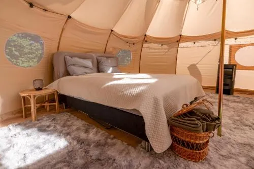 Holmegaard vin og glamping