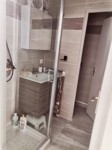 une petite salle de bain avec un lavabo et un miroir dans l'établissement Happy blue house, à Leucate