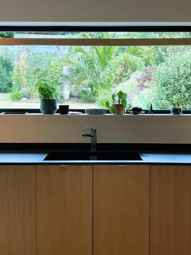 un comptoir de cuisine avec une fenêtre ornée de plantes en pot dans l'établissement Minimaliste contemporain house - hot tub - sauna, à Blainville-sur-Mer