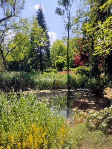 a pond in a garden with trees and flowers at Chalet Forsthof Everstorf in Grevesmühlen