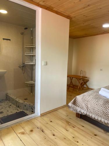 Koupelna v ubytování Tsvirmi Zviadi's guesthouse