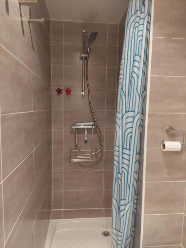 une salle de bain avec douche au design bleu et blanc dans l'établissement Location studio Cap d'Agde, au Cap d'Agde
