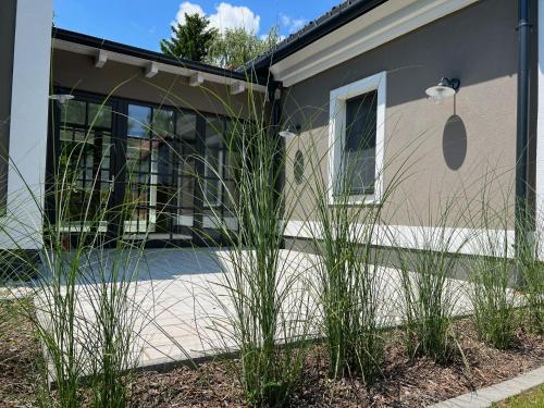 a house with tall grass in front of it at KisKütyü in Balatonhenye