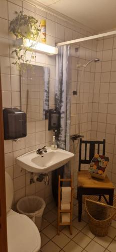 un bagno con lavandino e WC di Skotten Seter - Bed & Husky a Mork